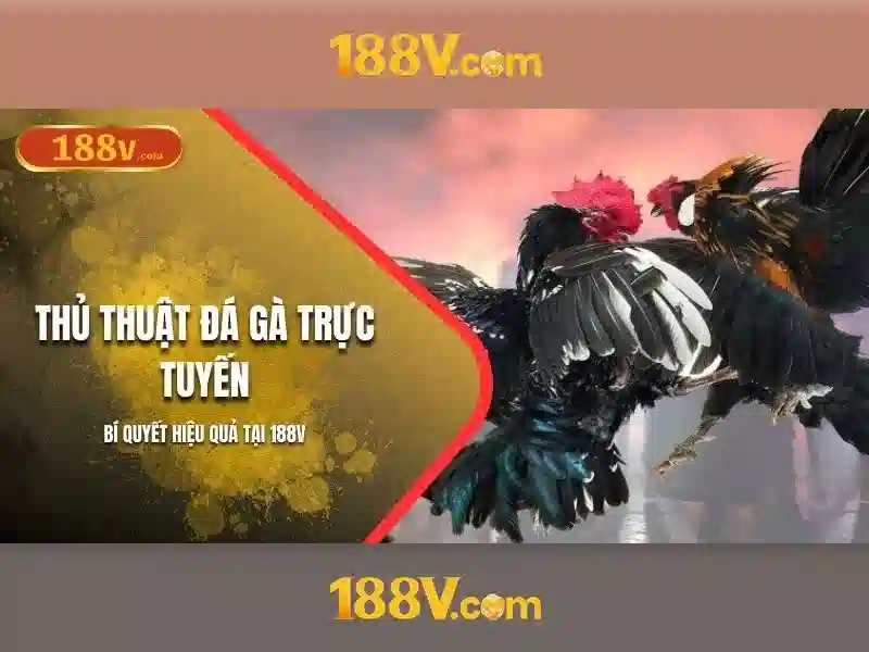188v và những bí ẩn của con số kỳ diệu