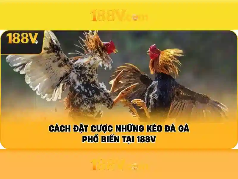 Khái niệm 188v và hành trình tư duy thiết kế