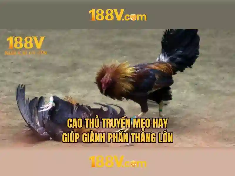 188v: hành trình khám phá một khái niệm kỳ ảo