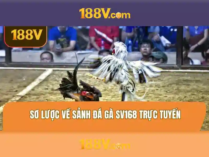 188v: khái niệm và ảnh hưởng trong thế giới số