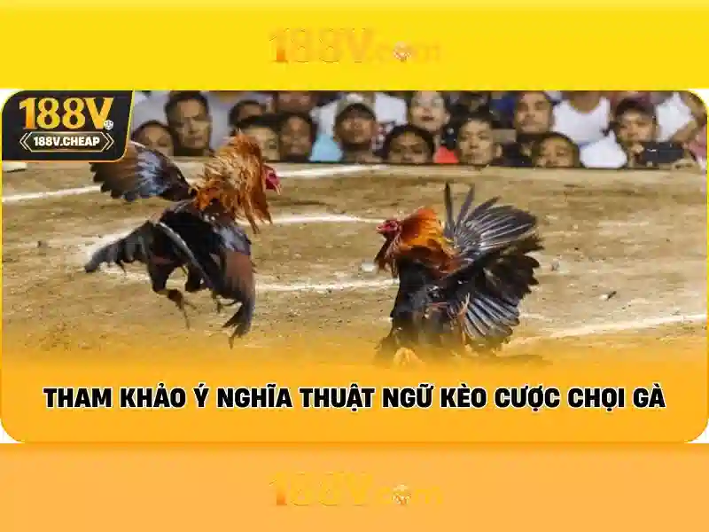 Bảng tỷ lệ kèo cược Meron và Wala trong trận đấu đá gà