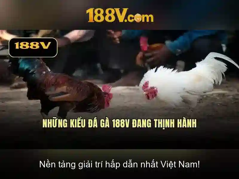 Quy trinh dang nhap 188v