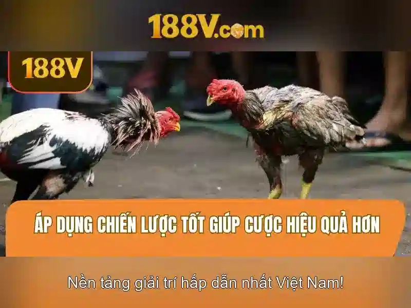 Khám phá 188V: Định mức, ứng dụng và an toàn