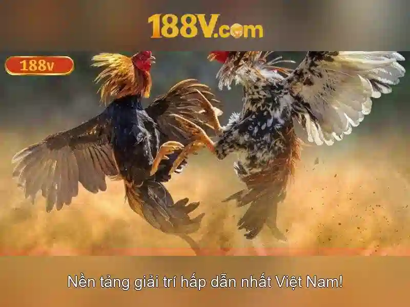 188v: một khái niệm trong thế giới số